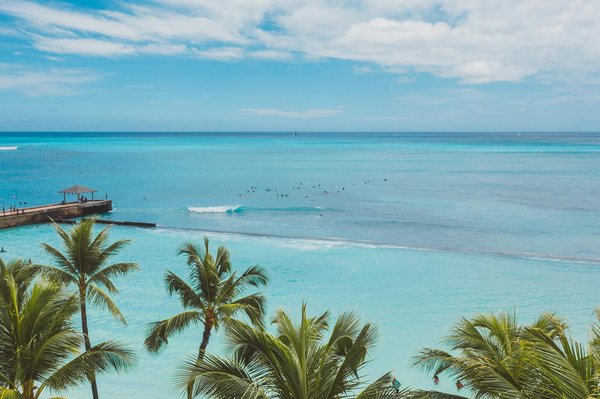 Où pratiquer le snorkeling au milieu des raies manta à Hawaii ?